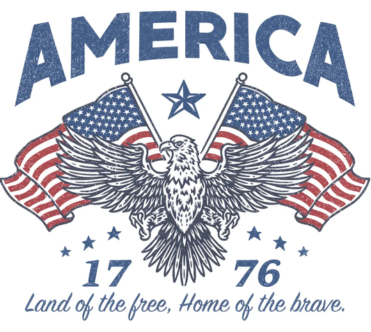 USA Unisex Oversized Tee