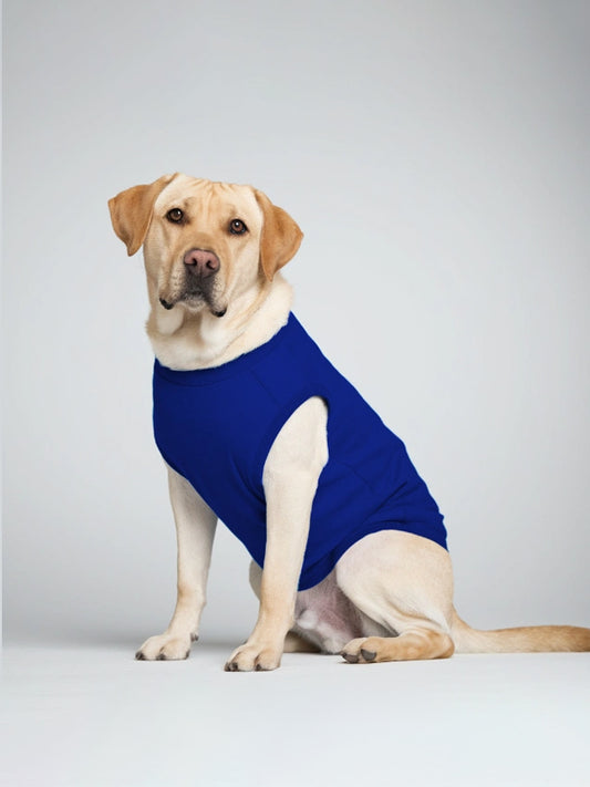 Dog T-Shirts