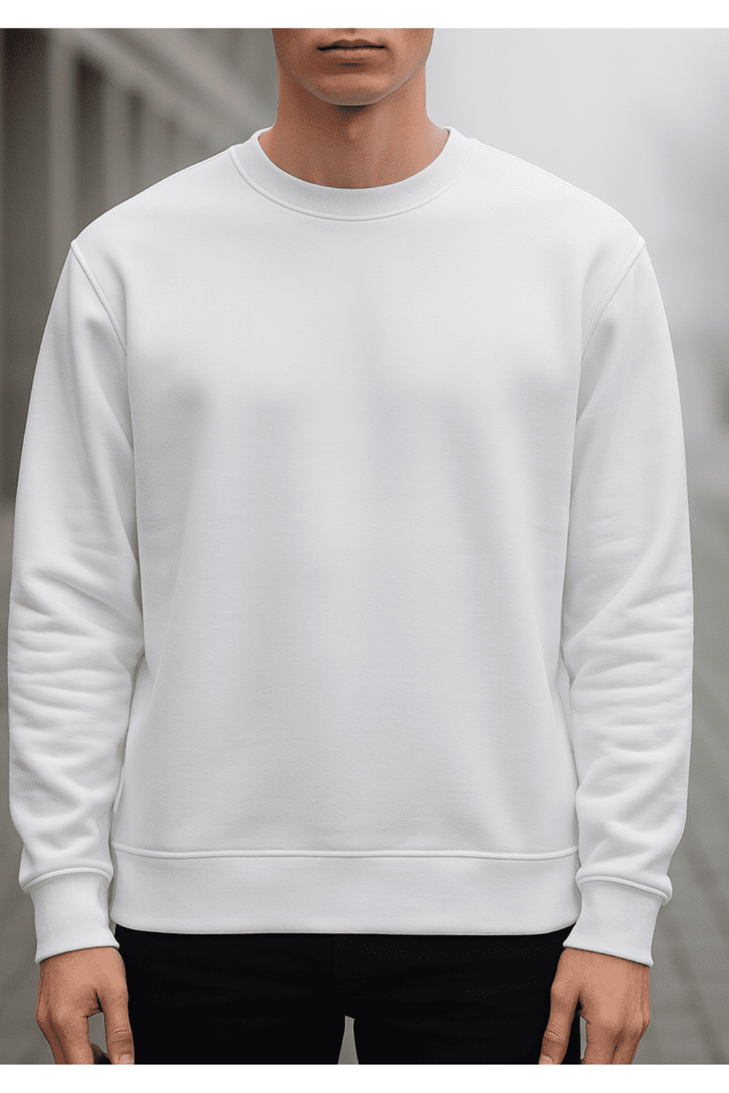 unisex plain sweatshirt 300 gsm cotton fleece regular fit